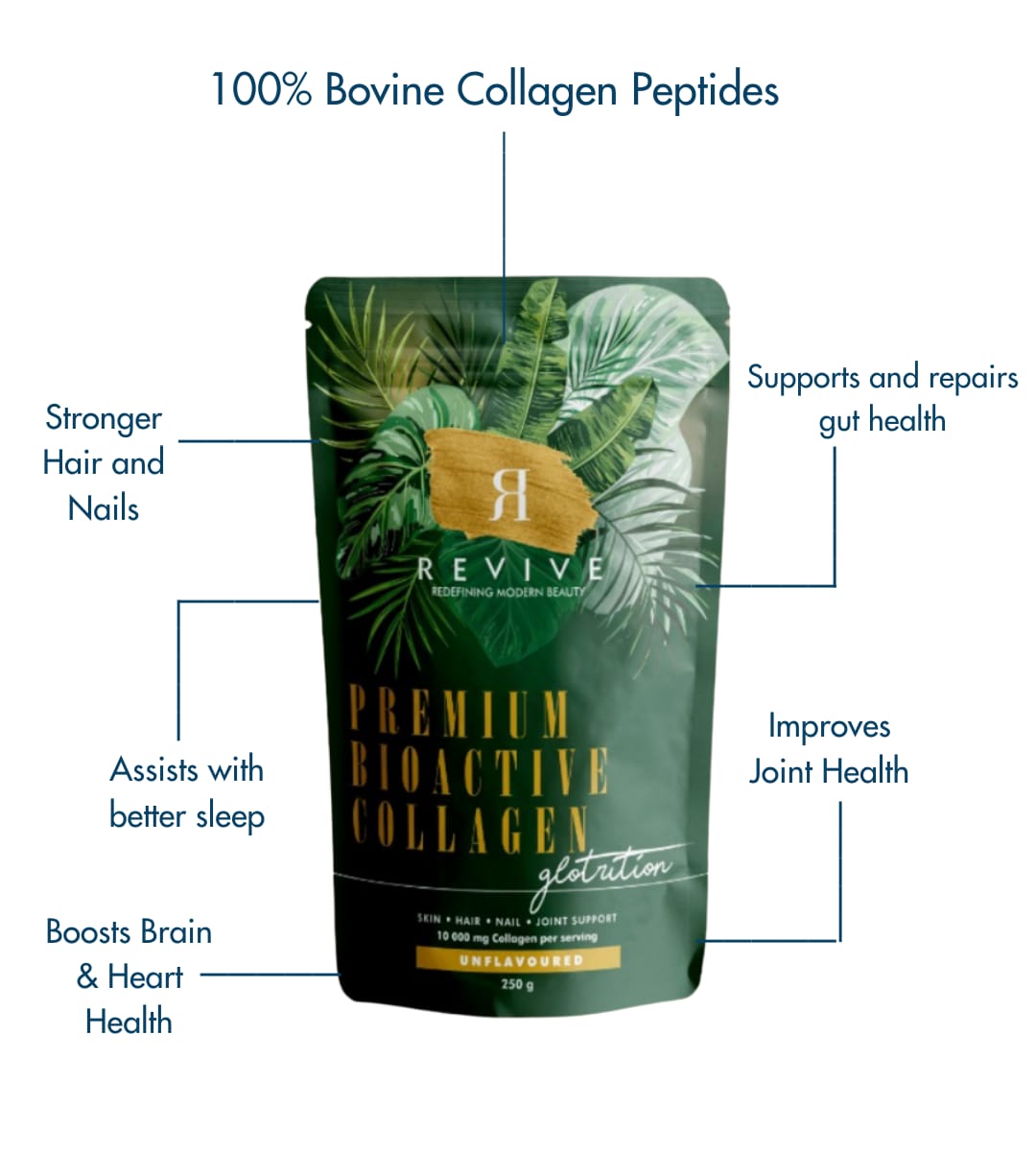GLOTRITION NATURAL BOVINE COLLAGEN- Bioactive Collagen peptides - Image 2